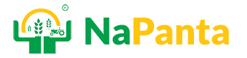 napanta